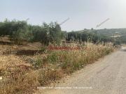 Terreno in vendita a Santa Flavia PA