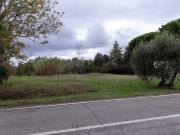 Terreno in vendita a Santa Maria a Monte PI