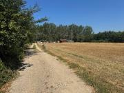 Terreno in vendita a Castelfranco di Sotto PI