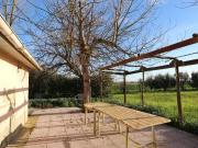 Terreno in vendita a Santa Maria a Monte PI