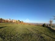 Terreno in vendita a Santa Maria della Versa PV