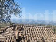 Terreno in vendita a Santa Maria di Licodia CT