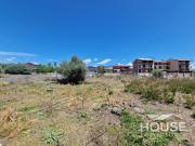 Terreno in vendita a Santa Maria di Licodia CT