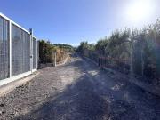 Terreno in vendita a Santa Maria di Licodia CT