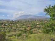 Terreno in vendita a Santa Maria di Licodia CT