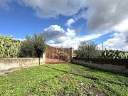 Terreno in vendita a Santa Maria di Licodia CT