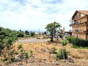 Terreno in vendita a Santa Maria di Licodia CT