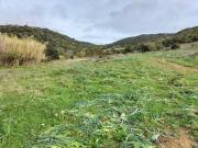 Terreno in vendita a Santa Marinella RM