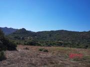 Terreno in vendita a Santa Teresa Gallura SS