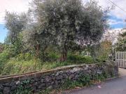 Terreno in vendita a Santa Venerina CT
