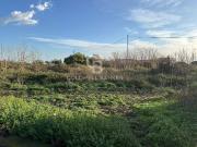 Terreno in vendita a Santa Venerina CT