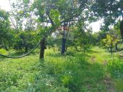 Terreno in vendita a Santa Venerina, Dagala del Re