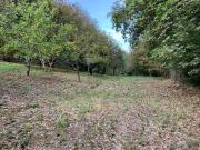 Terreno in vendita a Sant'Agata di Militello ME