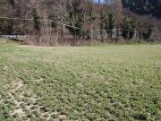 Terreno in vendita a Sant'Anatolia di Narco PG