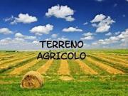 Terreno in vendita a Sant'Angelo di Piove di Sacco