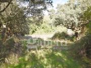 Terreno in vendita a Sant'Antonio di Gallura SS