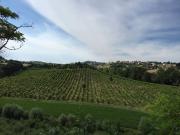 Terreno in vendita a Sant'Elpidio a Mare FM