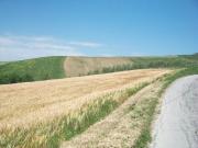 Terreno in vendita a Sant'Eusanio del Sangro CH