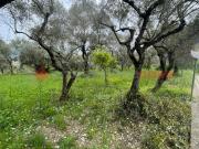 Terreno in vendita a Santi Cosma e Damiano LT