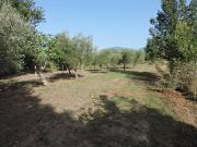 Terreno in vendita a Santi Cosma e Damiano LT