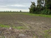 Terreno in vendita a Sant'Urbano PD