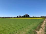 Terreno in vendita a Saronno VA