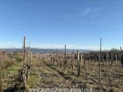 Terreno in vendita a Sarteano