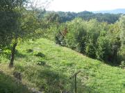 Terreno in vendita a Sarzana SP