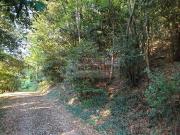 Terreno in vendita a Sarzana SP