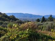 Terreno in vendita a Sarzanello Sarzana