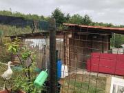 Terreno in vendita a Sassuolo MO