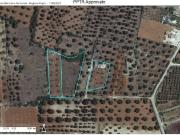 Terreno in vendita a Sava TA