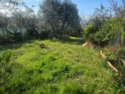 Terreno in vendita a Scandicci FI