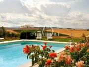 Terreno in vendita a Scansano GR