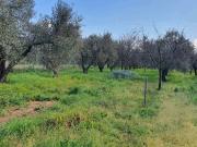 Terreno in vendita a Scarlino GR