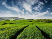 Terreno in vendita a Sedriano MI