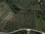 Terreno in vendita a Senigallia AN
