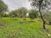 Terreno in vendita a Sennori SS