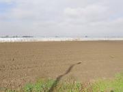 Terreno in vendita a Sermide e Felonica MN