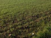 Terreno in vendita a Sernaglia della Battaglia TV