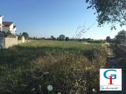 Terreno in vendita a Sessa Aurunca CE