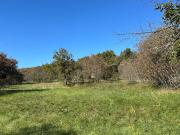 Terreno in vendita a Sgonico TS