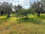 Terreno in vendita a Siderno RC