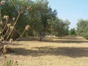 Terreno in vendita a Siracusa SR