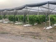 Terreno in vendita a Siracusa SR