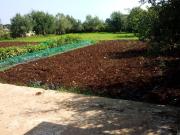 Terreno in vendita a Siracusa SR