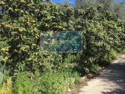 Terreno in vendita a Siracusa SR