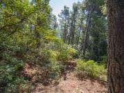 Terreno in vendita a Sirolo AN