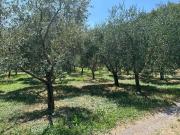 Terreno in vendita a Soiano del Lago BS