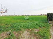 Terreno in vendita a Solesino PD
